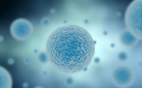 北京人民医院试管婴儿